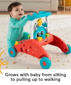 Fisher-Price 2-Sided Steady Speed Baby Walker Push alone