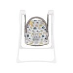 Graco Baby Delight Swing