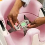 Ingenuity Baby Base 2-in-1 Seat in Peony