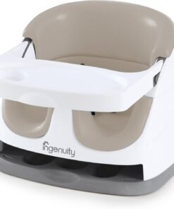 Ingenuity booster seat