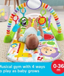 Fisher-Price Deluxe Gym