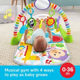 Fisher-Price Deluxe Gym